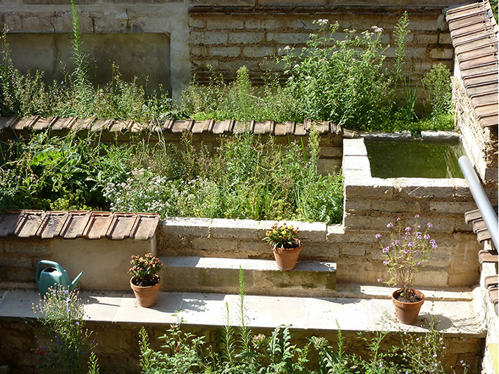 Garten mit Entwässerungsbecken