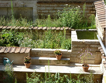 Garten mit Entwässerungsbecken