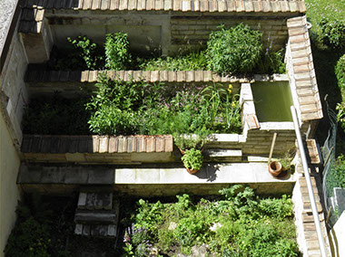 Ansicht Garten 2014